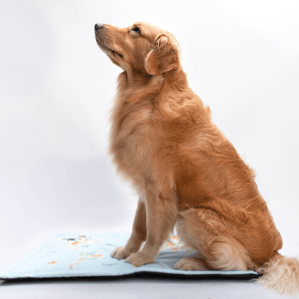 FurBuddies Fur Map Mat for Dogs and Cats