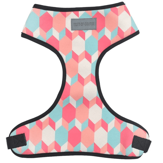 Mutt of Course Candy Barr Dog Harness