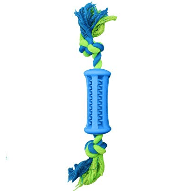 Emily Pets Dog Toothbrush Stick Dental Care Toy with Rope
