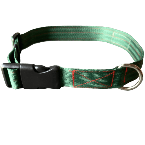 FurBuddies Myrtle Nylon Collar for Dogs (Green)