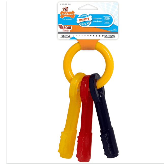 Nylabone Bacon Flavor Puppy Teething Keys Chew Toy for Dogs