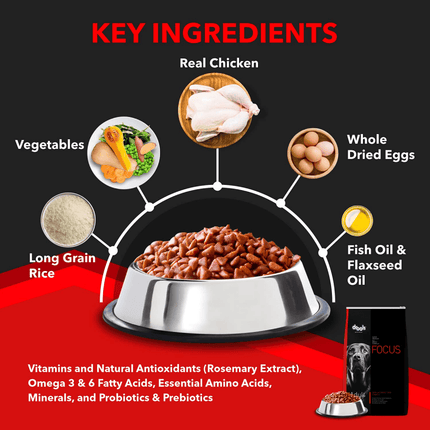 Drools Focus Super Premium Adult Dry Dog Food and Real Chicken & Chicken Liver Chunks in Gravy Adult Dog Wet Food Combo