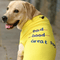 Mutt of Course Great Doggo T-Shirt For Dogs