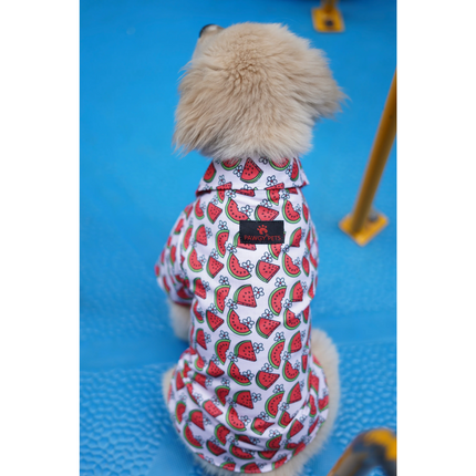 Pawgypets Daisy Melon Shirt for Dogs and Cats (Pink)