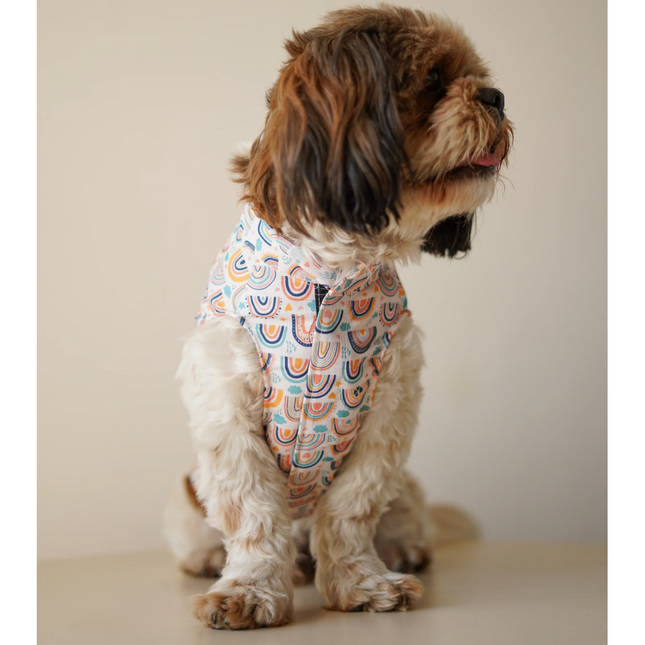 Pawgypets Rainbow Sando for Dogs (off white)