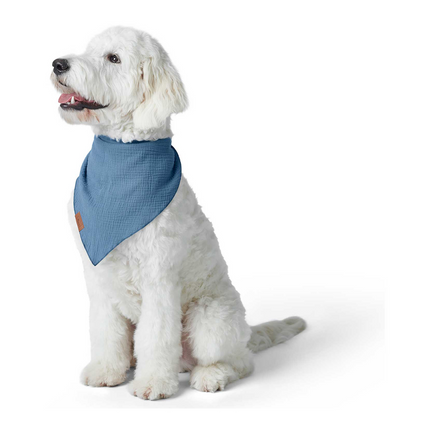 Hunter Nola Triangle Scarf for Dogs (Blue)