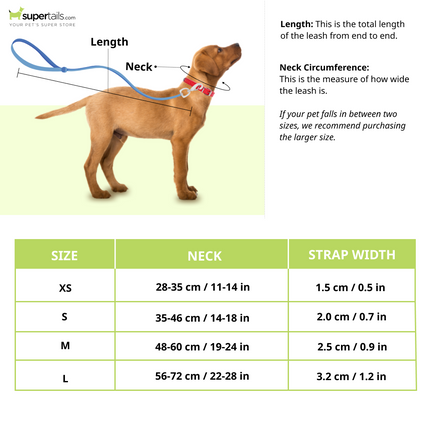 Glucklich Martingale Printed Adjustable Collar for Dogs (Rainbow)
