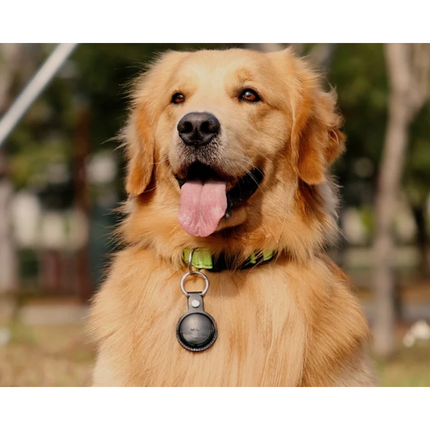 Mitag Anti Loss Device with Keychain for Dogs and Cats (White) | IOS