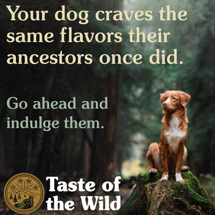 Taste of the Wild Pacific Stream Smoked Salmon Adult Dog Dry Food | Grain Free Formula