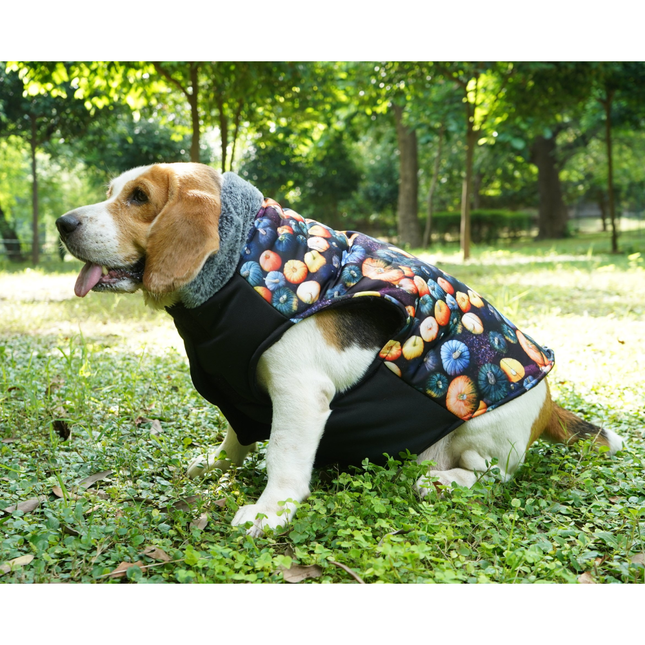 Up4pets Pumpkin Spice Polyester Fleece Jackets For Pets