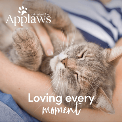 Applaws Chicken Breast Tinned Kitten Wet Food (Limited Shelf Life)