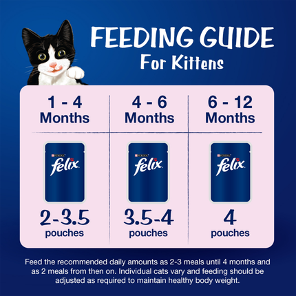 Purina Felix Tuna with Jelly Complete and Balanced Kitten Wet Food
