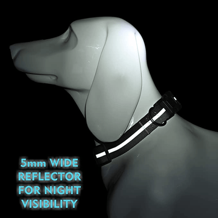 Glucklich Everyday Reflective Collar for Dogs (Space Grey)