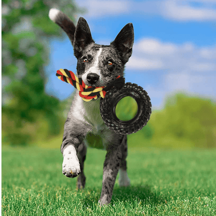 Basil Rubber Tyre with Cotton Rope for Dogs