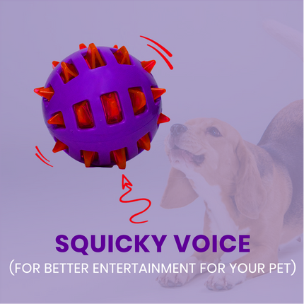 Basil Squeaky Rubber Ball Toy for Dogs
