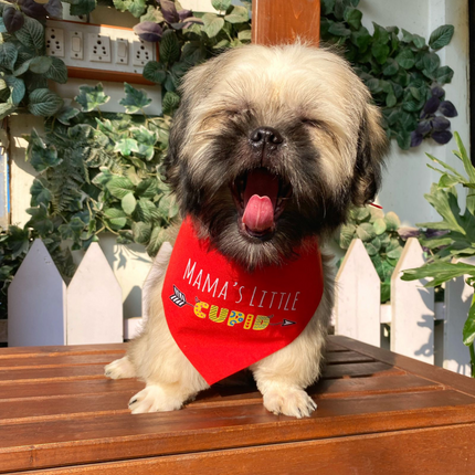 Dogobow Mama's Little Cupid Scarf for Dogs (Red) (Get a Bow Free)