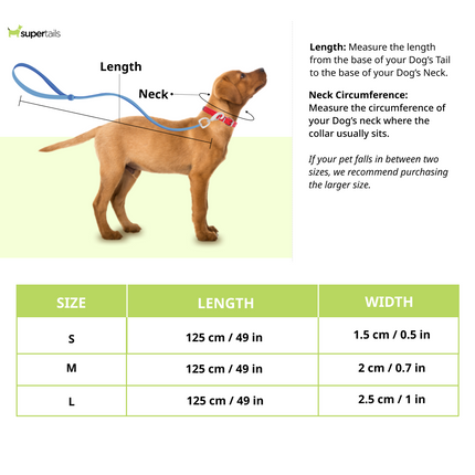 Skatrs Adventure in Style & Comfort Tropical Leash for Dogs and Cats (Green)