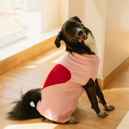 Pet Set Go Ira’s Sweater for Dogs and Cats (Red & Pink)