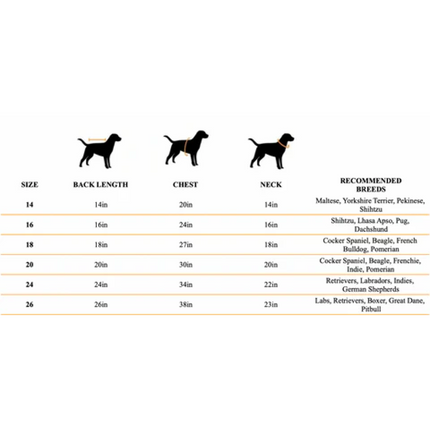 Pet Set Go Kurta with Bowtie  for Dogs (Blue)