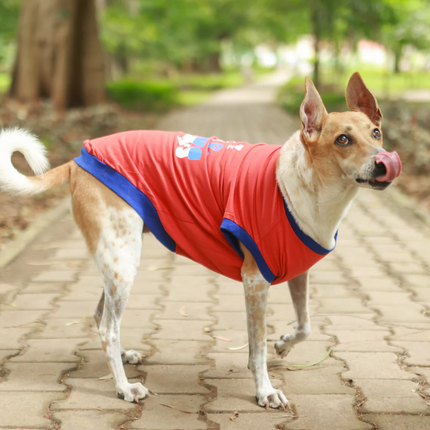 Pet Set Go Naps & Snacks T Shirt for Dogs (Red)