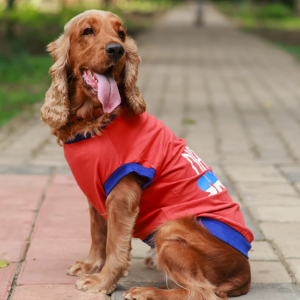 Pet Set Go Naps & Snacks T Shirt for Dogs (Red)