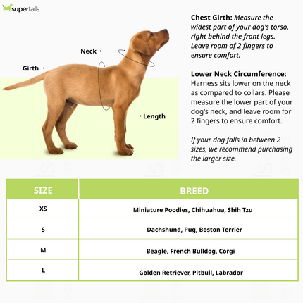 Furry & Co Ultra Harness for Dogs (Electra)