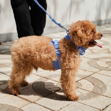 Furry & Co Bold Harness for Dogs (Everest Blue)