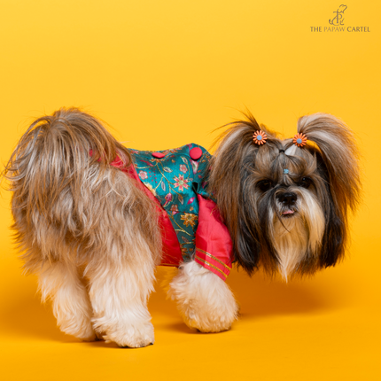 The Papaw Cartel Fuschia Kurta with Contrasting Floral Teal Koti for Dogs (Pink)