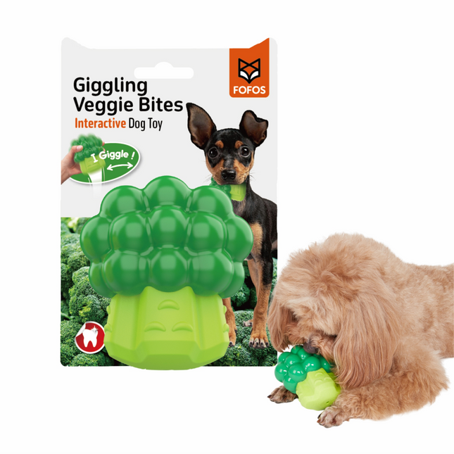 Fofos Giggling Vegi Bites Broccoli Squeaky Chew Toy for Dogs