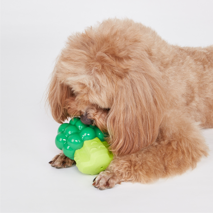 Fofos Giggling Vegi Bites Broccoli Squeaky Chew Toy for Dogs