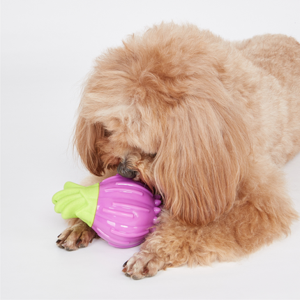 Fofos Giggling Vegi Bites Onion Squeaky Chew Toy for Dogs