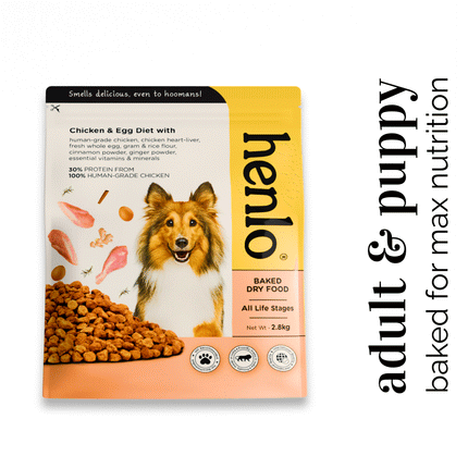 Henlo Chicken and Egg Baked Dry Food for Adult Dogs & Puppies | 100% Human Grade Ingredients