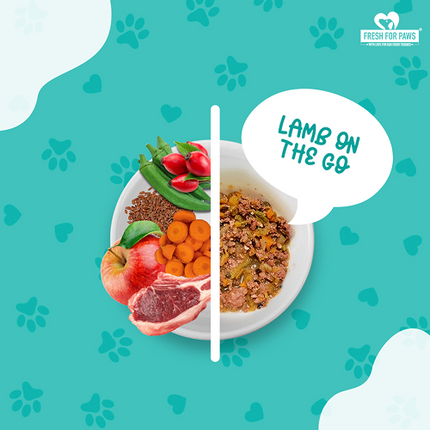Fresh For Paws Chicken Pot Pie and Fish Supper and Lamb On The Go Wet Dogs and Cats Food Combo