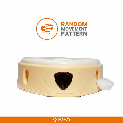 Fofos Cheese Box Interactive Toy for Cats