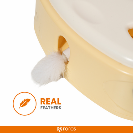 Fofos Cheese Box Interactive Toy for Cats