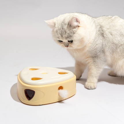 Fofos Cheese Box Interactive Toy for Cats