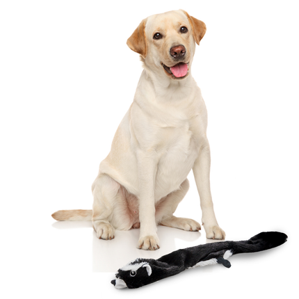 Fofos Skinneez Skunk Toy for Dogs