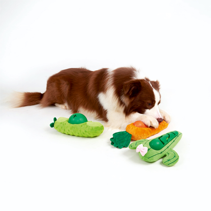 Fofos Cactus Treat Toy for Dogs (Green)