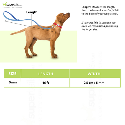 Trixie New Neon M Tape Leash for Dogs (Yellow)
