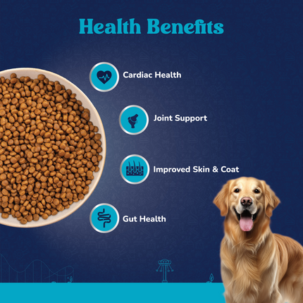 Carniwel Fresh Lamb Large Breed Adult Dog Dry Food