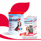 400g+Feeding Kit Free
