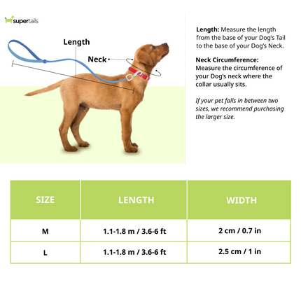 Red Dingo Lead Adjustable Classic Leash For Dogs (Purple)