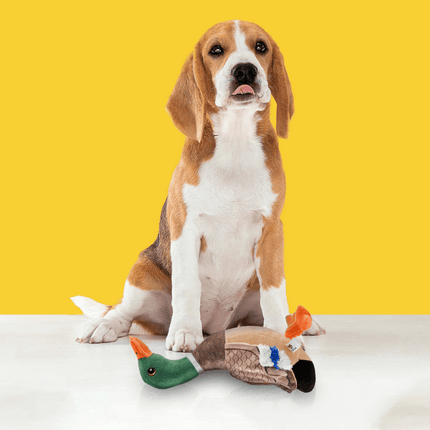 Fofos Plush Wild Duck Toy for Dogs