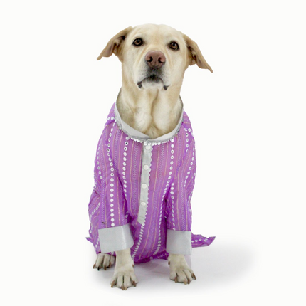 Dogobow Mirror Kurta for Dogs (Lilac)