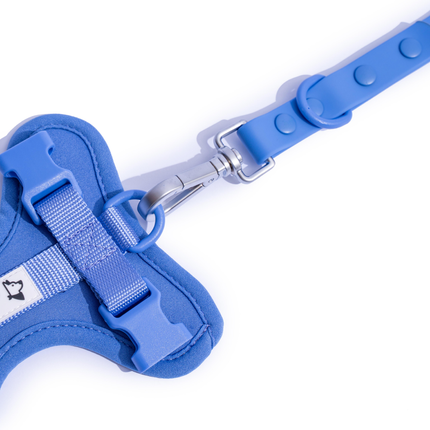 Furry & Co Weatherproof Leash for Dogs (Everest Blue)