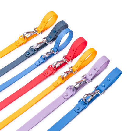 Furry & Co Weatherproof Leash for Dogs (Everest Blue)