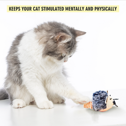 Fofos Pull String & Sound Chip Mouse Shaped Electronic Toy for Cats (Grey)