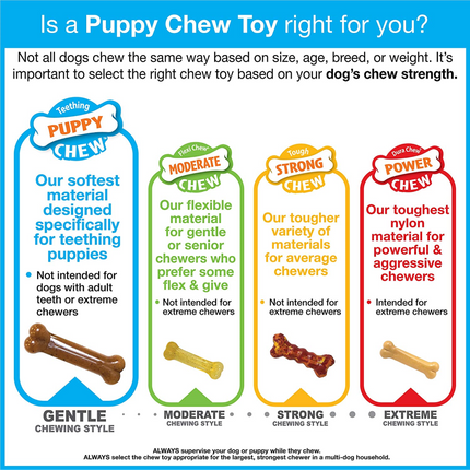 Nylabone Puppy Teething Chicken Flavoured Chew Bone Toy for Dogs (Brown)