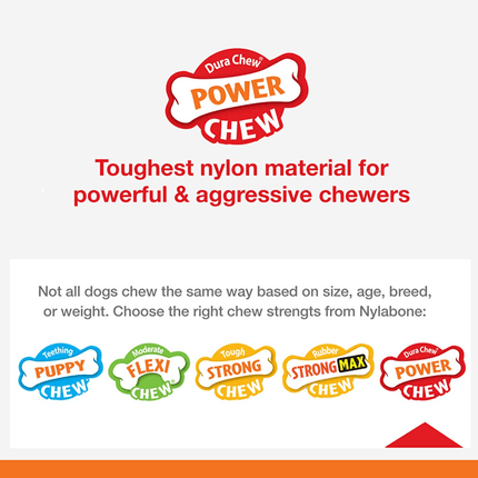 Nylabone Power Chew Flavor Frenzy Bone Twin Pack Toy for Dogs (Yellow, Brown)