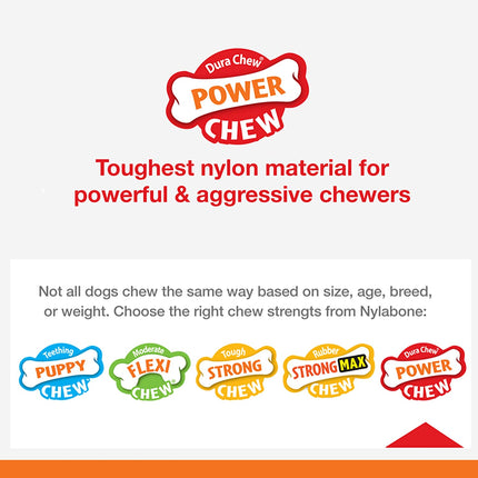 Nylabone Power Chew Gator Alternative Toy For Dogs (Green, Beige)